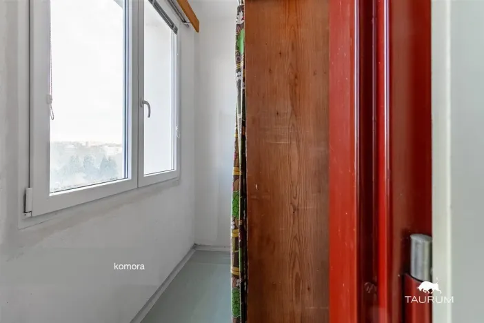 Prodej bytu 1+1, Plzeň - Severní Předměstí, Hodonínská, 47 m2