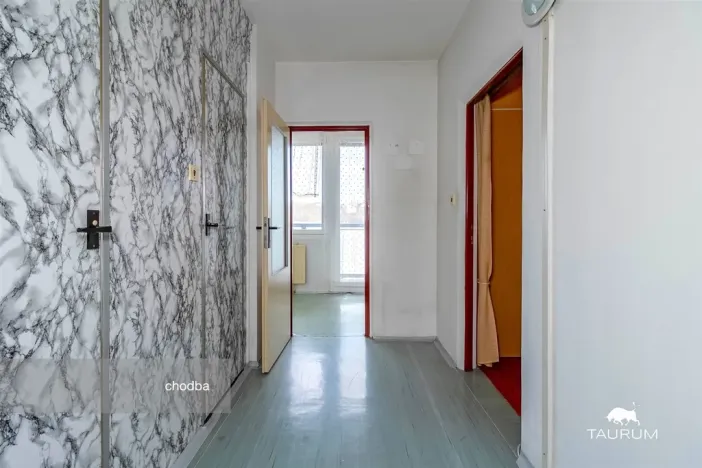 Prodej bytu 1+1, Plzeň - Severní Předměstí, Hodonínská, 47 m2