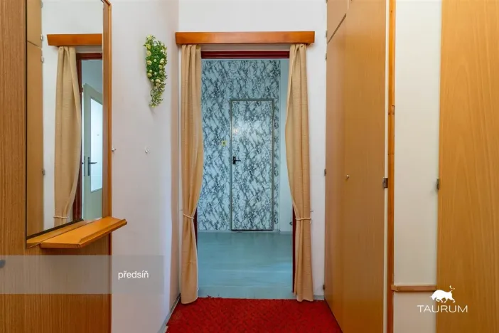 Prodej bytu 1+1, Plzeň - Severní Předměstí, Hodonínská, 47 m2