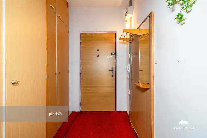 Prodej bytu 1+1, Plzeň - Severní Předměstí, Hodonínská, 47 m2