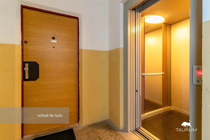 Prodej bytu 1+1, Plzeň - Severní Předměstí, Hodonínská, 47 m2