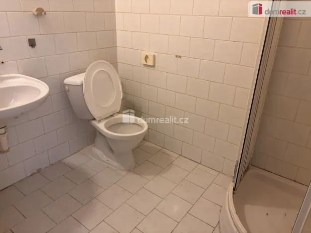 Pronájem bytu 1+kk, Praha - Zbraslav, K výtopně, 20 m2