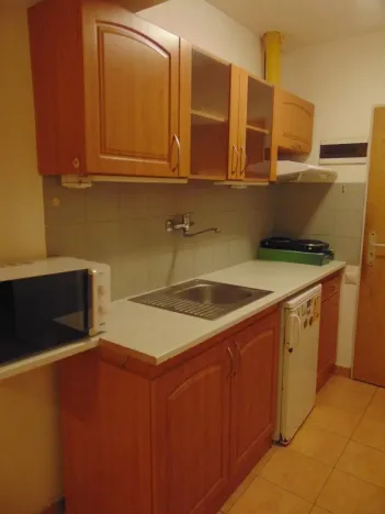 Pronájem bytu 2+kk, Praha - Strašnice, Věšínova, 46 m2