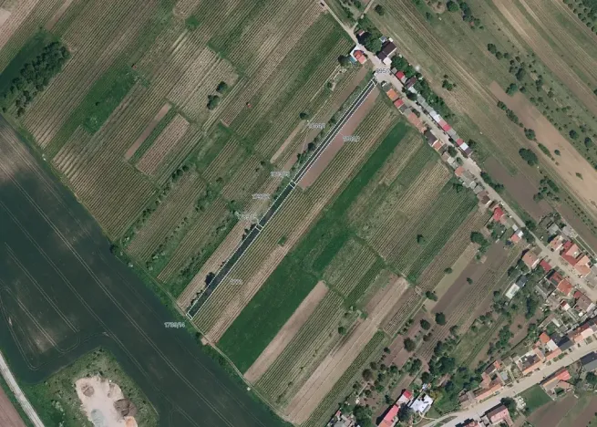 Prodej pole, Starý Poddvorov, 6005 m2