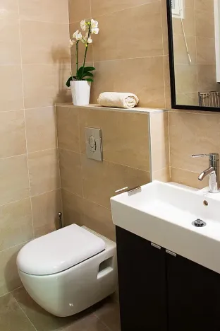 Prodej bytu 2+1, Praha - Staré Město, Liliová, 64 m2