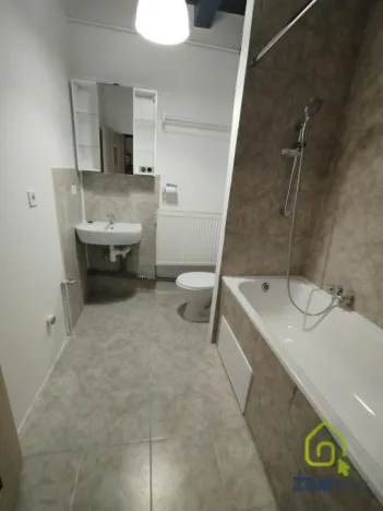 Pronájem bytu 2+1, Březová, Hamerská, 46 m2