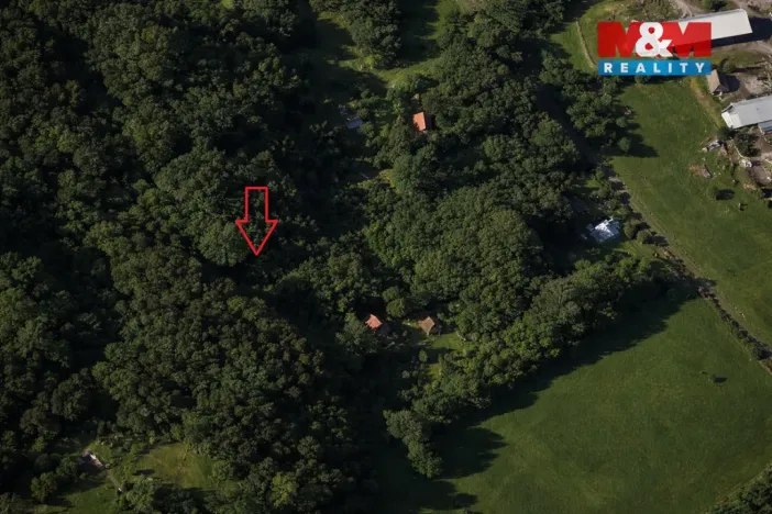 Prodej lesa, Semily, 1939 m2