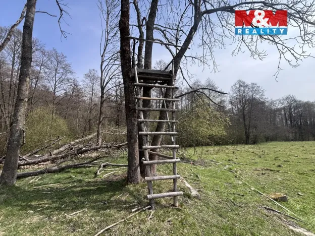 Prodej louky, Cvikov - Trávník, 545 m2