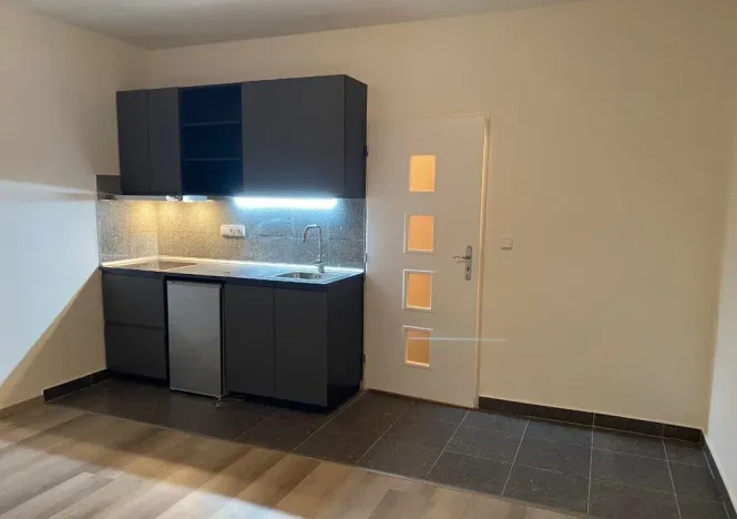 Pronájem bytu 1+kk, Praha - Vysočany, Freyova, 25 m2