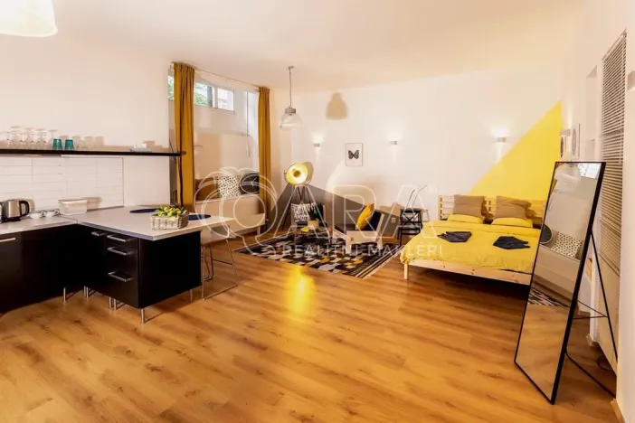 Pronájem bytu 1+kk, Praha - Vinohrady, Mánesova, 53 m2