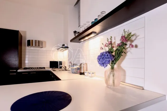 Pronájem bytu 1+kk, Praha - Vinohrady, Mánesova, 53 m2