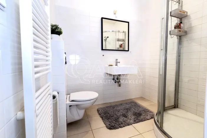 Pronájem bytu 1+kk, Praha - Vinohrady, Mánesova, 53 m2