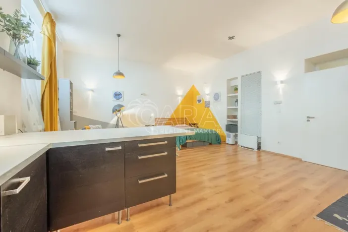 Pronájem bytu 1+kk, Praha - Vinohrady, Mánesova, 53 m2