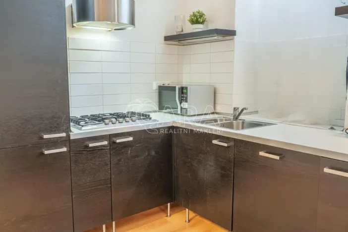 Pronájem bytu 1+kk, Praha - Vinohrady, Mánesova, 53 m2
