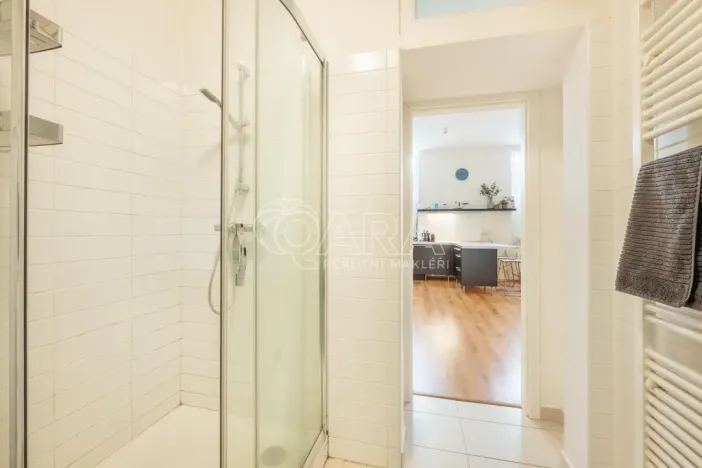 Pronájem bytu 1+kk, Praha - Vinohrady, Mánesova, 53 m2