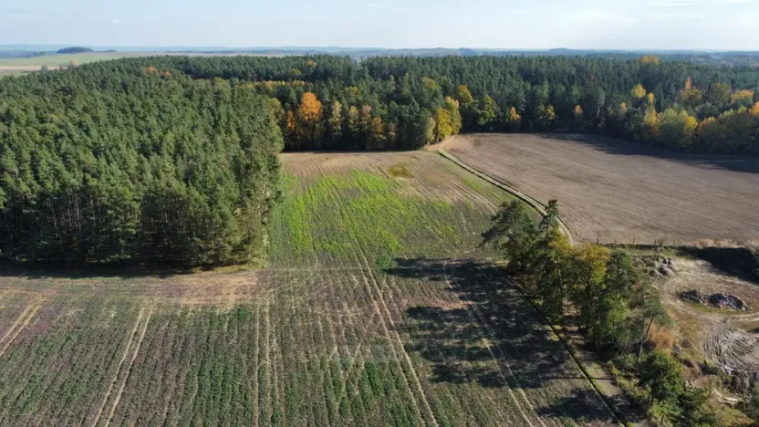 Prodej pole, Řípec, 49992 m2