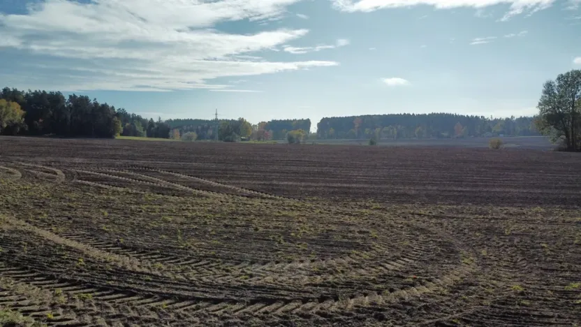 Prodej pole, Řípec, 49992 m2