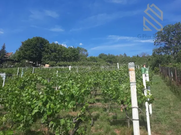 Prodej pozemku pro bydlení, Velké Žernoseky, 4490 m2