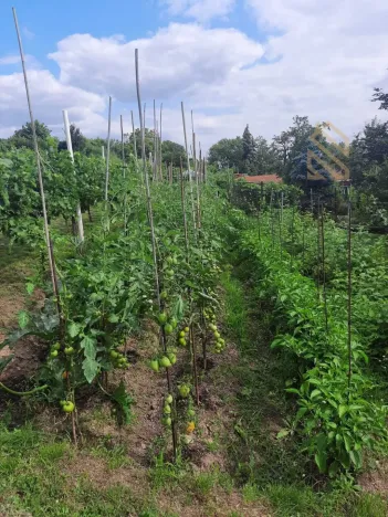 Prodej pozemku pro bydlení, Velké Žernoseky, 4490 m2