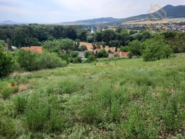 Prodej pozemku pro bydlení, Velké Žernoseky, 4490 m2