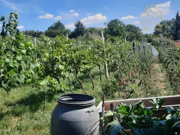 Prodej pozemku pro bydlení, Velké Žernoseky, 4490 m2