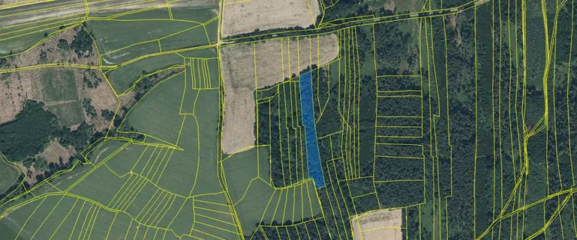 Prodej lesa, Blížejov - Lštění, 6627 m2