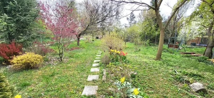 Pronájem bytu 2+kk, Brno - Černá Pole, 50 m2