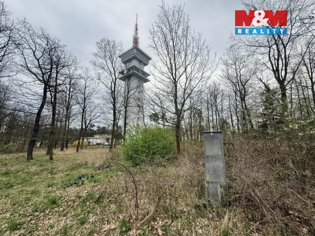 Prodej lesa, Býšť, 3807 m2