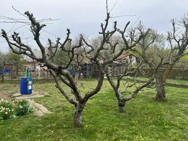 Prodej chaty, Přerov, 27 m2