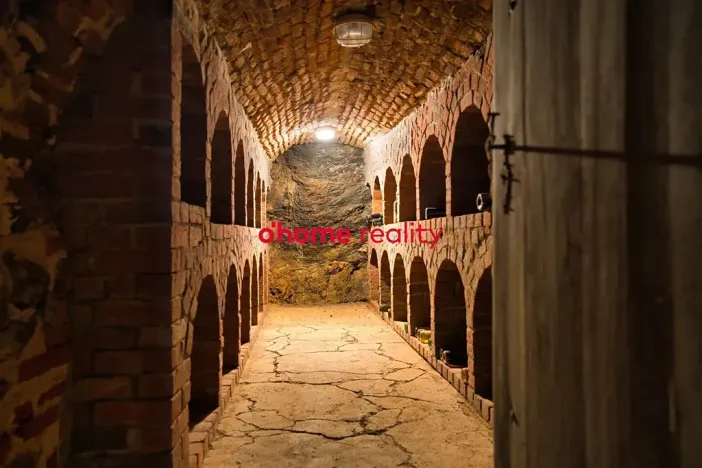 Prodej domu, Luka nad Jihlavou, Nádražní, 2812 m2