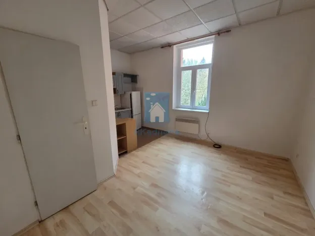 Pronájem bytu 1+kk, Plzeň, Rokycanská, 30 m2