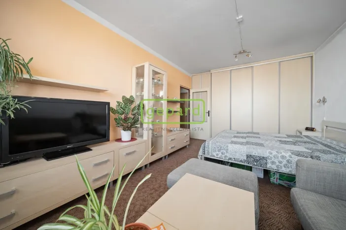 Prodej bytu 1+1, Hradec Králové, třída Edvarda Beneše, 41 m2