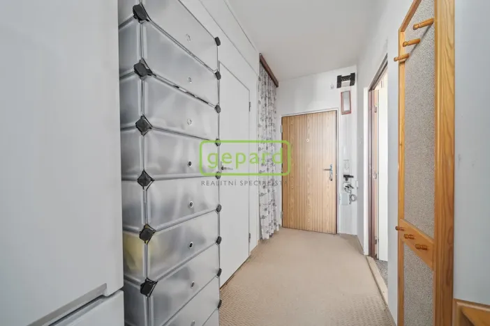 Prodej bytu 1+1, Hradec Králové, třída Edvarda Beneše, 41 m2