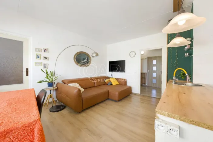 Prodej bytu 5+1, Brno - Židenice, Bořetická, 97 m2