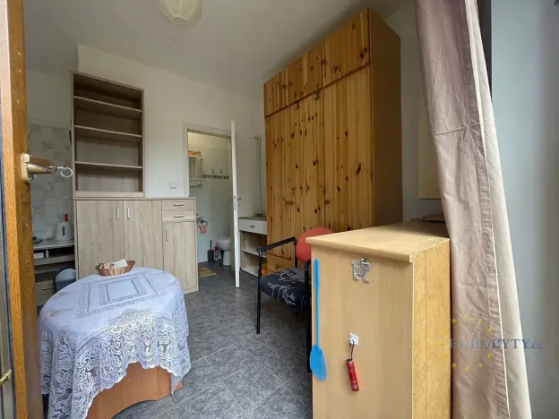 Pronájem bytu 1+kk, Zvole, Havraní, 12 m2