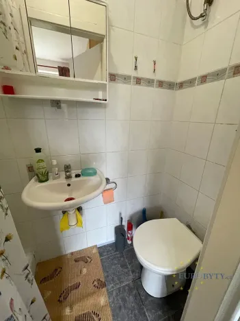 Pronájem bytu 1+kk, Zvole, Havraní, 12 m2