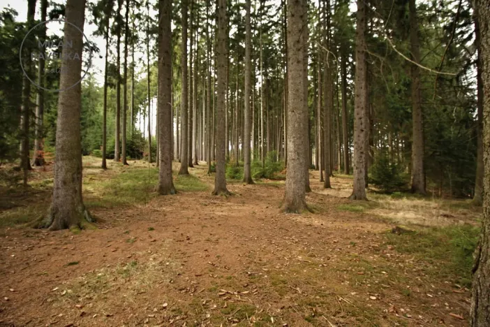 Prodej chaty, Zubří, 64 m2