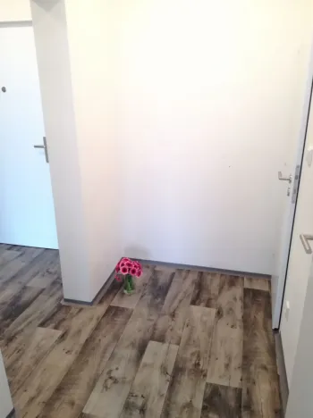 Pronájem bytu 2+kk, Ostrava - Dubina, Antonína Poledníka, 44 m2