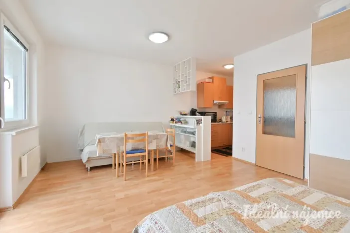 Pronájem bytu 1+kk, Brno, Francouzská, 30 m2