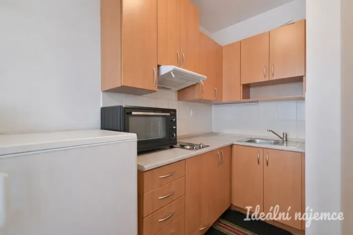 Pronájem bytu 1+kk, Brno, Francouzská, 30 m2