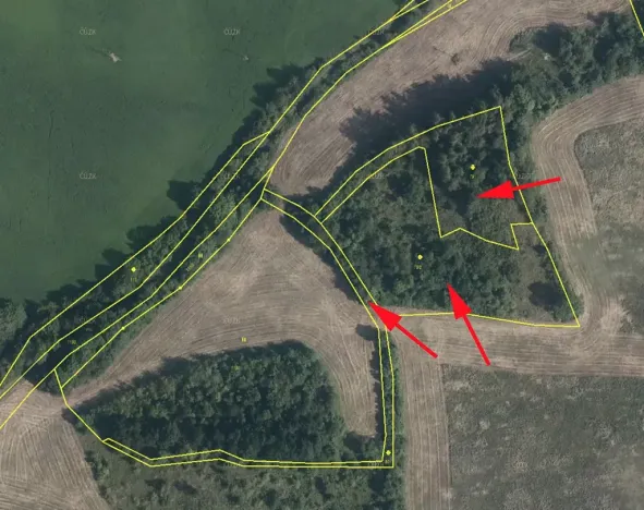 Prodej louky, Mašťov, 9839 m2