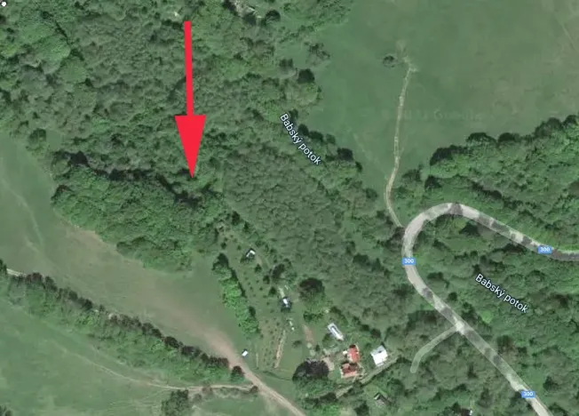 Prodej lesa, Trutnov, 4429 m2