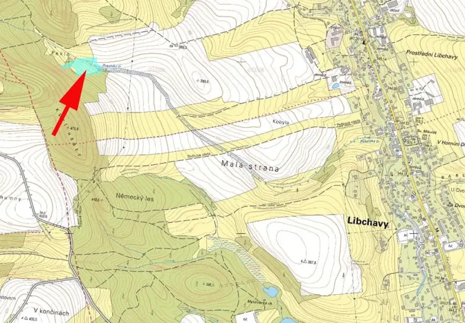 Prodej louky, Libchavy, 8415 m2