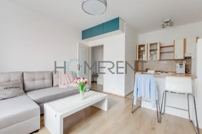 Pronájem bytu 2+kk, Praha - Vršovice, Přípotoční, 38 m2