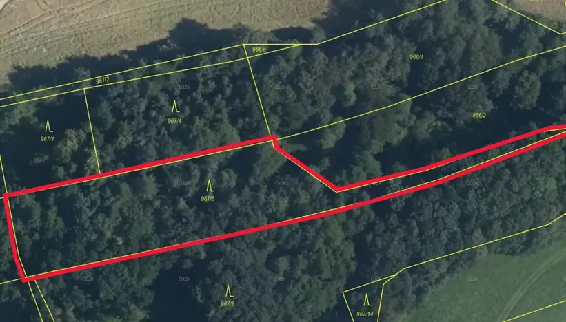 Prodej lesa, Baška, 3416 m2