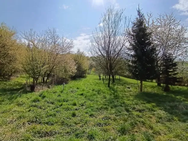 Prodej zahrady, Soběchleby, 1872 m2