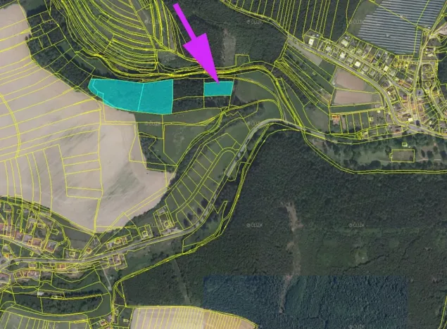 Prodej lesa, Malá Roudka, 2625 m2