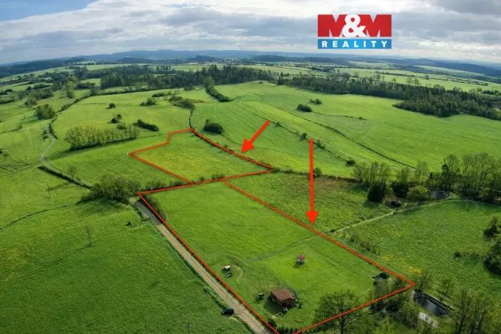 Prodej louky, Předotice - Šamonice, 20363 m2