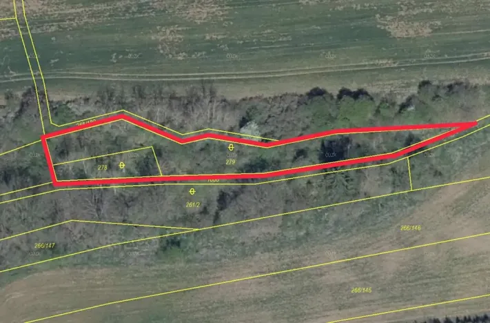 Prodej lesa, Tuchořice, 1477 m2