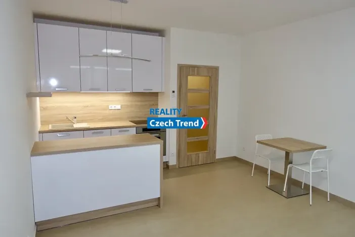 Pronájem bytu 1+kk, Olomouc, Čajkovského, 30 m2